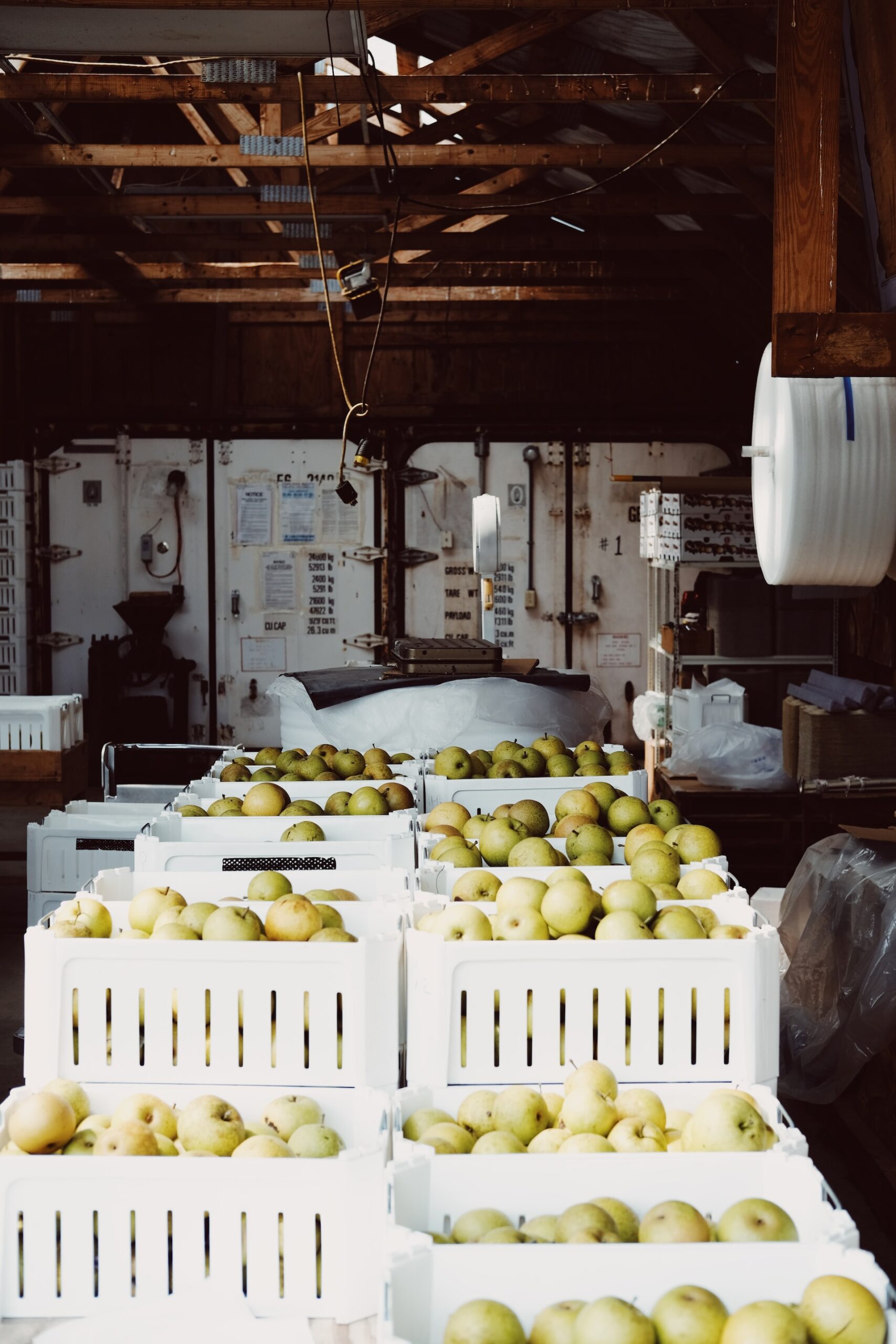 wren-meinberg-TjpPemeGlCU-unsplash